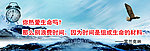 热爱生命