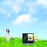 清爽的夏季