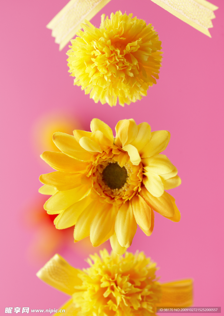 鲜花