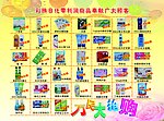 彩琳日化宣传页背面