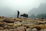 再遊桂林