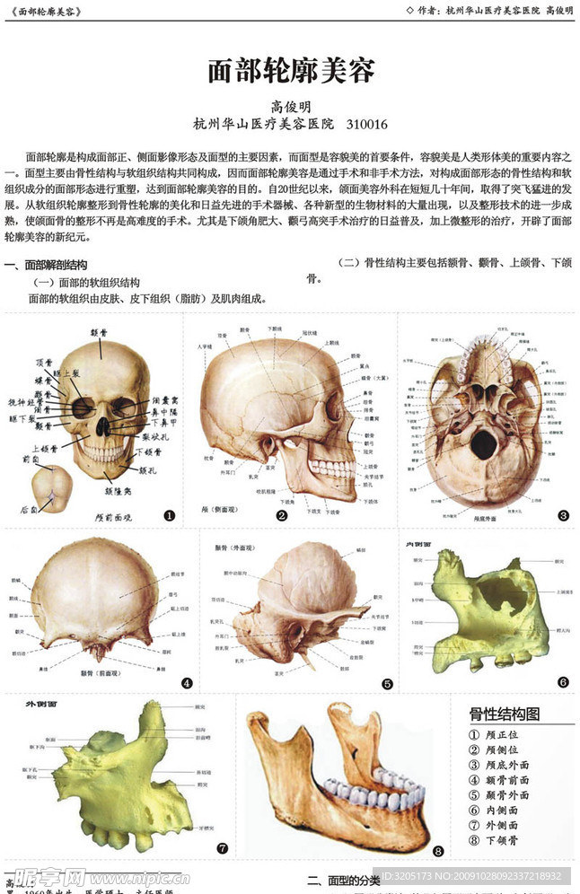 面部轮廓美容（医学论文）