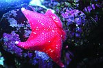 海底世界