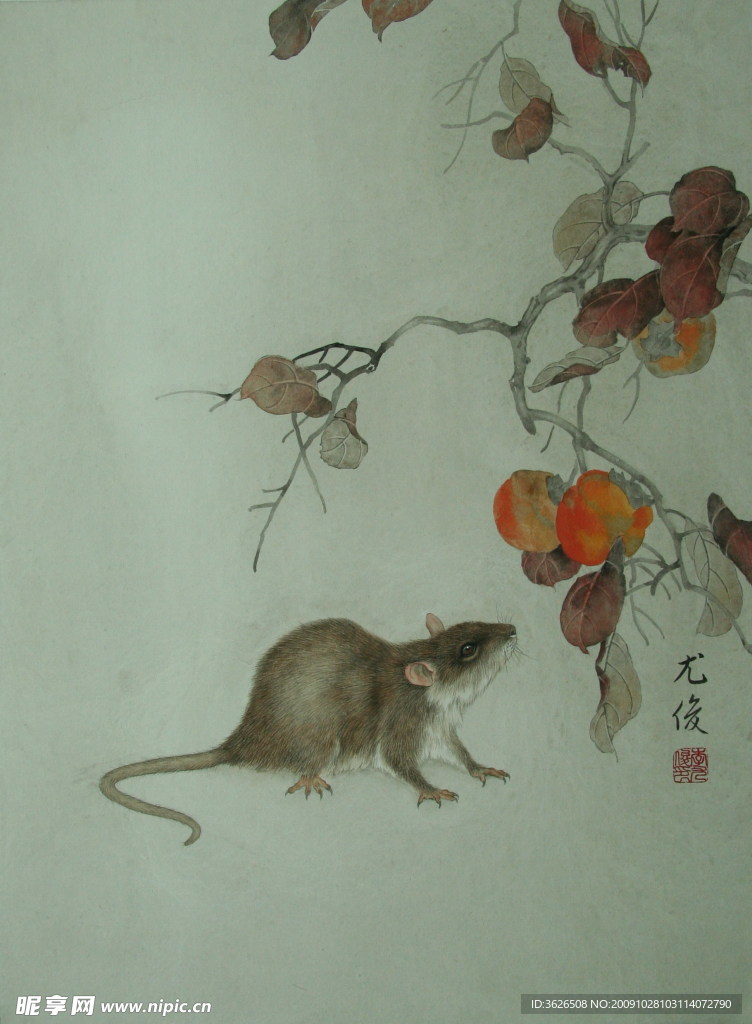 李尤俊的工笔生肖画 鼠