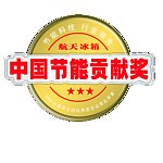贡献奖标志（航天）