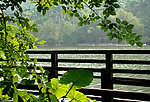 清新湖景