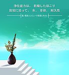 清洁巾