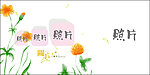 儿童相册PSD模板照片相框模板关于童年11