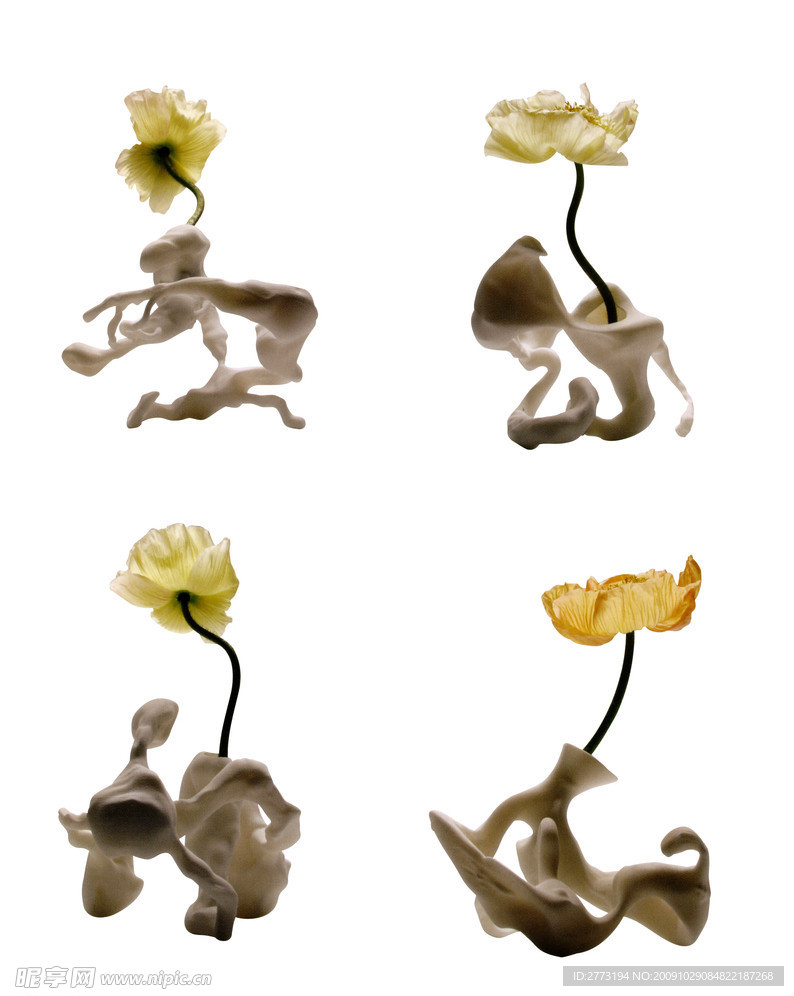 扣好 花瓶