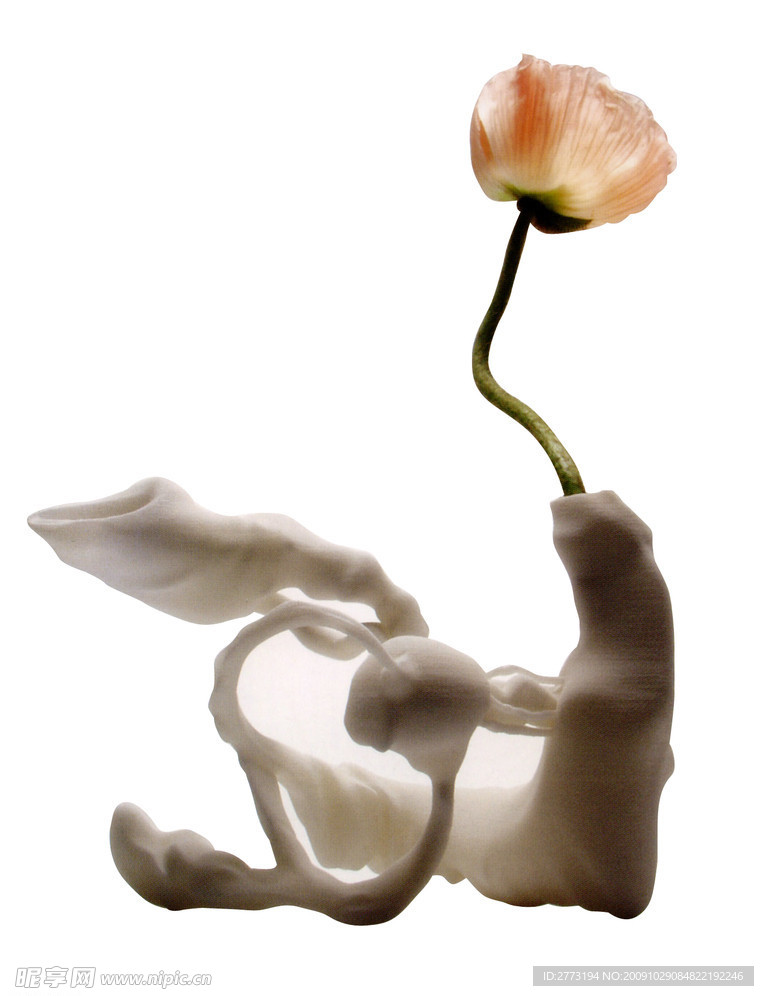 扣好 花瓶