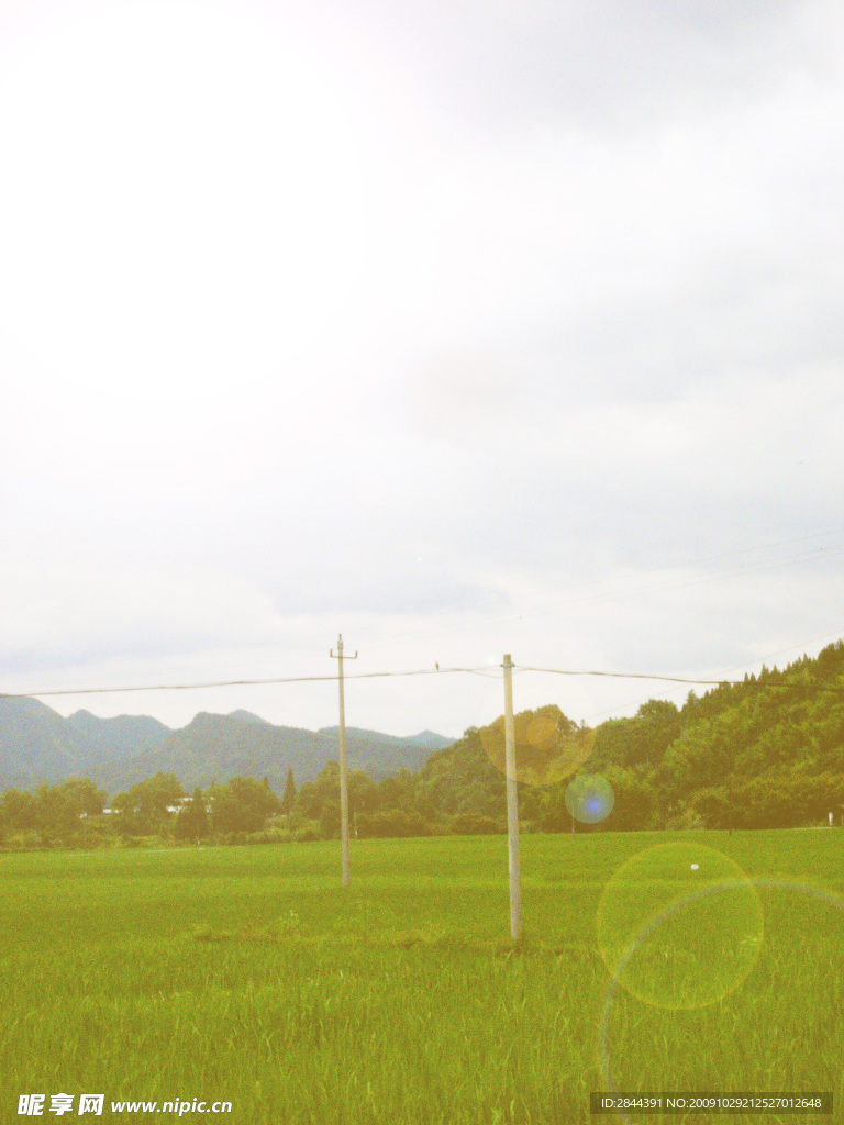 野外