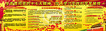 学习十七大版报