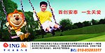 保险