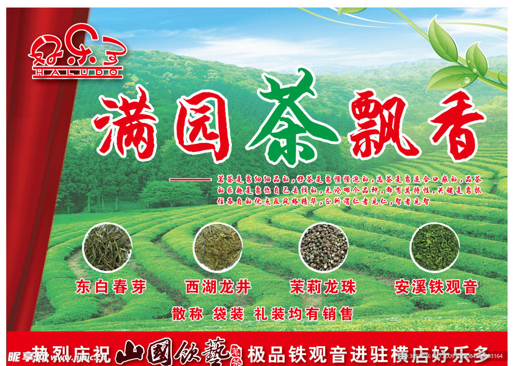 春茶上市
