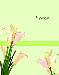 玻璃移门 百合花