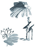 水墨荷