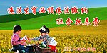计生