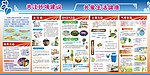 环境 建设 生活 健康 宣传栏