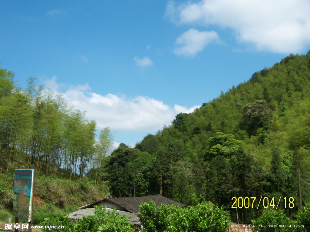 竹景