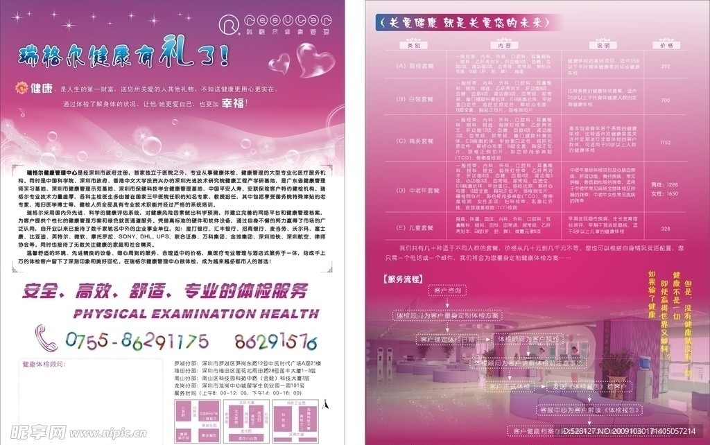 瑞格尔 宣传 彩页