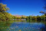 新疆风景 秋
