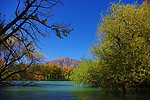 新疆风景 秋