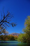 新疆风景 秋