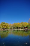 新疆风景 秋