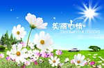 野外风景
