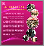 消防安全