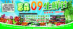 生鲜节