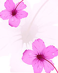 花露