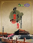 海报