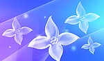 透明花朵