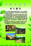 水土流失