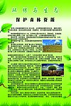 保护森林资源