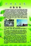 白色污染