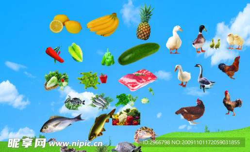 蔬菜 水果 动物图
