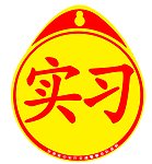 实习标志