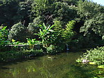 小河