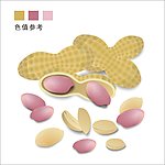 矢量花生