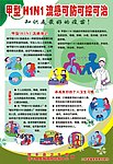甲流H1N1
