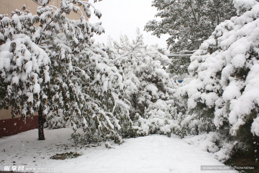 2010年的第一场雪