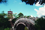 风景