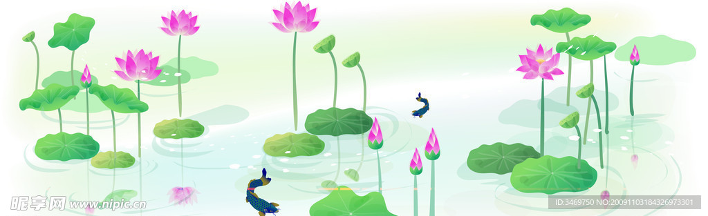 荷花