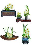 水仙花雕刻艺术（昵图绝无仅有）