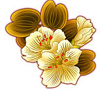 金黄色的花