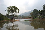 柳江风景