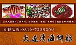 海鲜酒楼名片