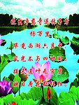 校园文化